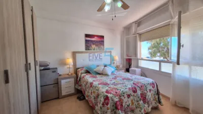 Apartment in Torrevieja photo 7