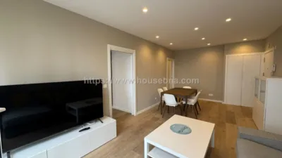 Penthouse on Hurtado de Amezaga Street photo 10