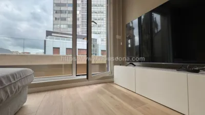 Penthouse on Hurtado de Amezaga Street photo 11