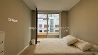 Penthouse on Hurtado de Amezaga Street photo 12