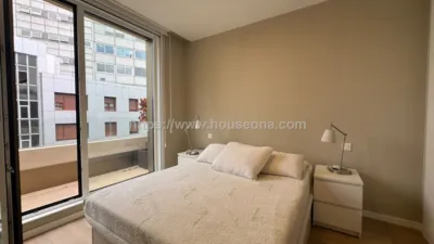 Penthouse on Hurtado de Amezaga Street photo 13