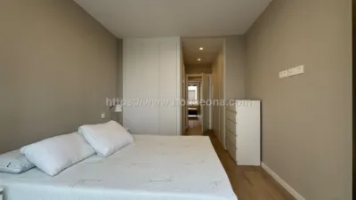 Penthouse on Hurtado de Amezaga Street photo 15