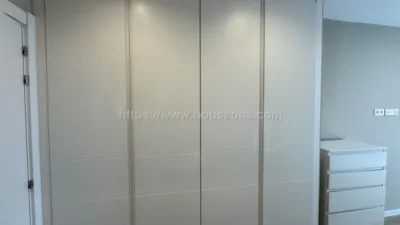 Penthouse on Hurtado de Amezaga Street photo 16