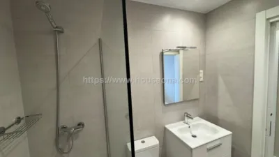 Penthouse on Hurtado de Amezaga Street photo 17