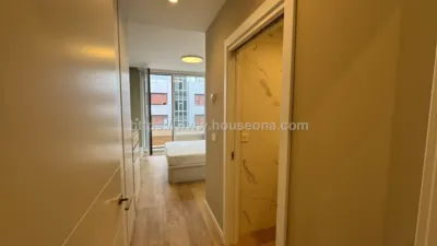 Penthouse on Hurtado de Amezaga Street photo 21