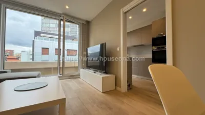 Penthouse on Hurtado de Amezaga Street photo 2