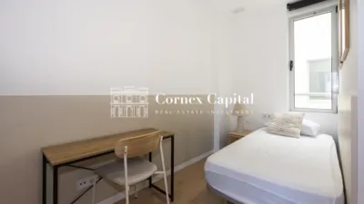 Apartment on Carrer de Bac de Roda photo 18