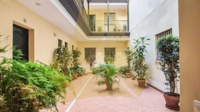 Apartment on Calle Torreblanca photo 21