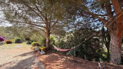 Rustic Finca in Almogía photo 3