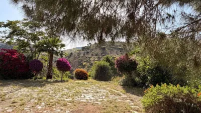 Rustic Finca in Almogía photo 4