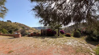 Rustic Finca in Almogía photo 5
