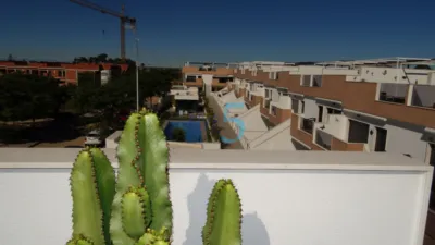Pis – Pilar de la Horadada - Vista 3