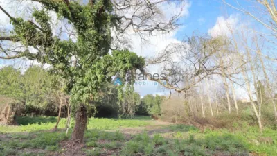 House in Culleredo - Tarrio - Cambre Border photo 9