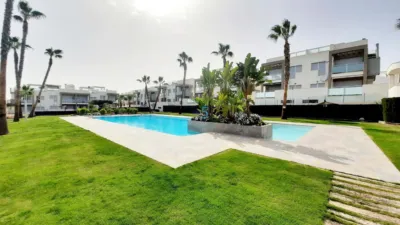 Apartment in Punta Prima photo 5