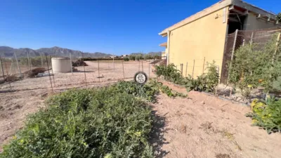 Rural Finca in Murcia, Mazarrón, Leiva photo 34
