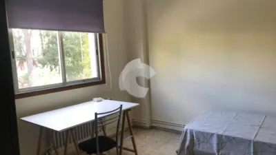 Apartment in Lagunas photo 35