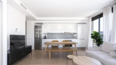 Apartment on Carrer de Bac de Roda photo 9