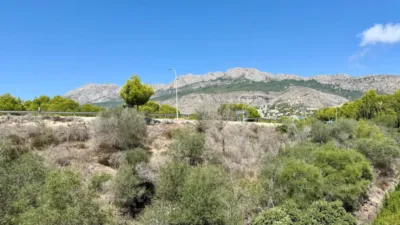 Apartment in Urbanización Villa Gadea photo 26
