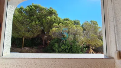 House in Playa Flamenca photo 25