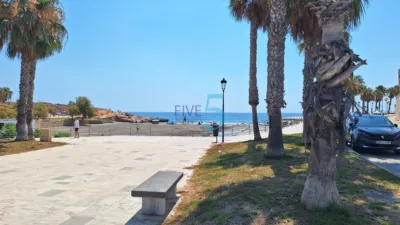 House in Playa Flamenca photo 42