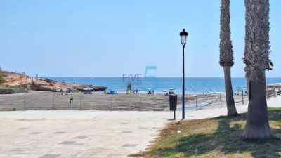 House in Playa Flamenca photo 43