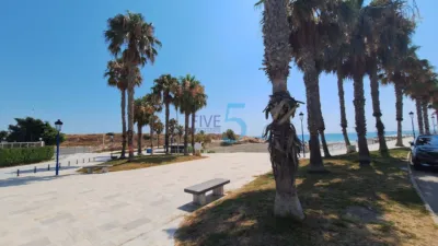 House in Playa Flamenca photo 44