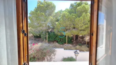 Duplex in Playa Flamenca photo 35