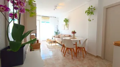 Apartment in Torrevieja photo 12