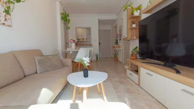 Apartment in Torrevieja photo 15