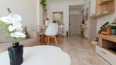 Apartment in Torrevieja photo 16