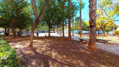 Apartment in Torrevieja photo 26