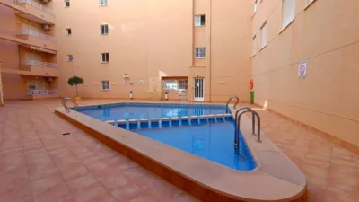 Apartment in Torrevieja photo 2