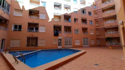 Apartment in Torrevieja photo 7
