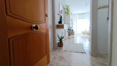 Apartment in Torrevieja photo 8