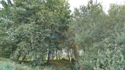 Terreno en venta en Sada - Vista 2