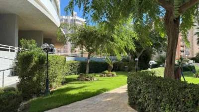 Apartment in Playa Arenal photo 23