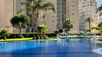 Apartment in Playa Arenal photo 24