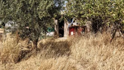 Rustic Finca in Padul photo 12