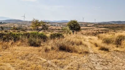 Rustic Finca in Padul photo 13