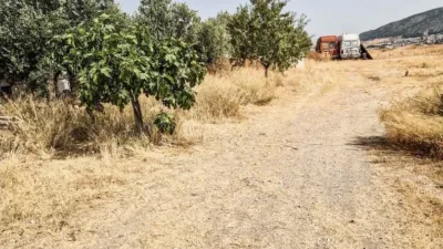 Rustic Finca in Padul photo 16