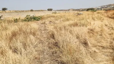 Rustic Finca in Padul photo 21