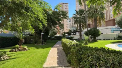 Apartment in Playa del Arenal photo 19