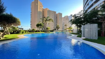 Apartment in Playa del Arenal photo 23