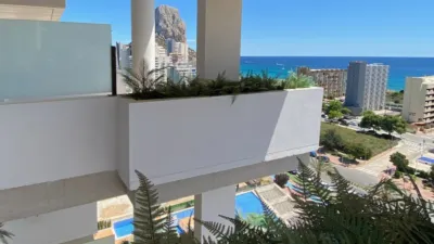 Apartment in Arenal photo 55