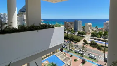 Apartment in Arenal photo 56