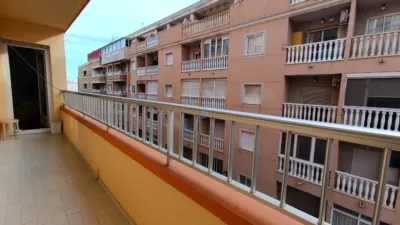 Apartment in Torrevieja photo 12