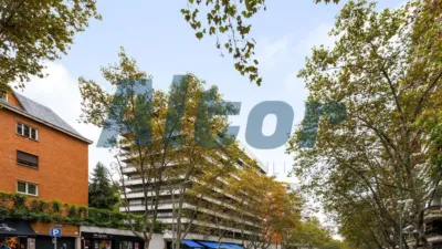 Piso en alquiler en Calle del General Pardiñas, cerca de Calle del General Oráa - Imagen 40