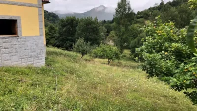 House in Belmonte de Miranda photo 36