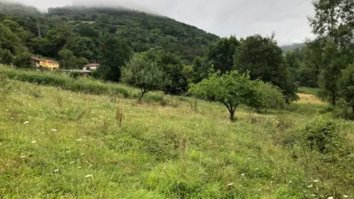 House in Belmonte de Miranda photo 40
