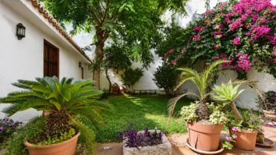 House on Carrer de Sant Pere photo 21